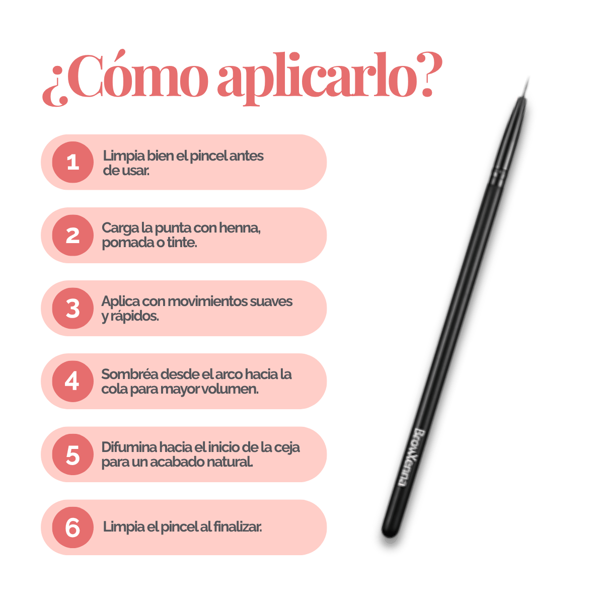 Eyebrow Brush #11 Stroke BrowXenna®
cerdas ultra finas y mango ergonómico diseñados para aplicación precisa de henna y maquillaje en cejas para técnicos de belleza exigentes.