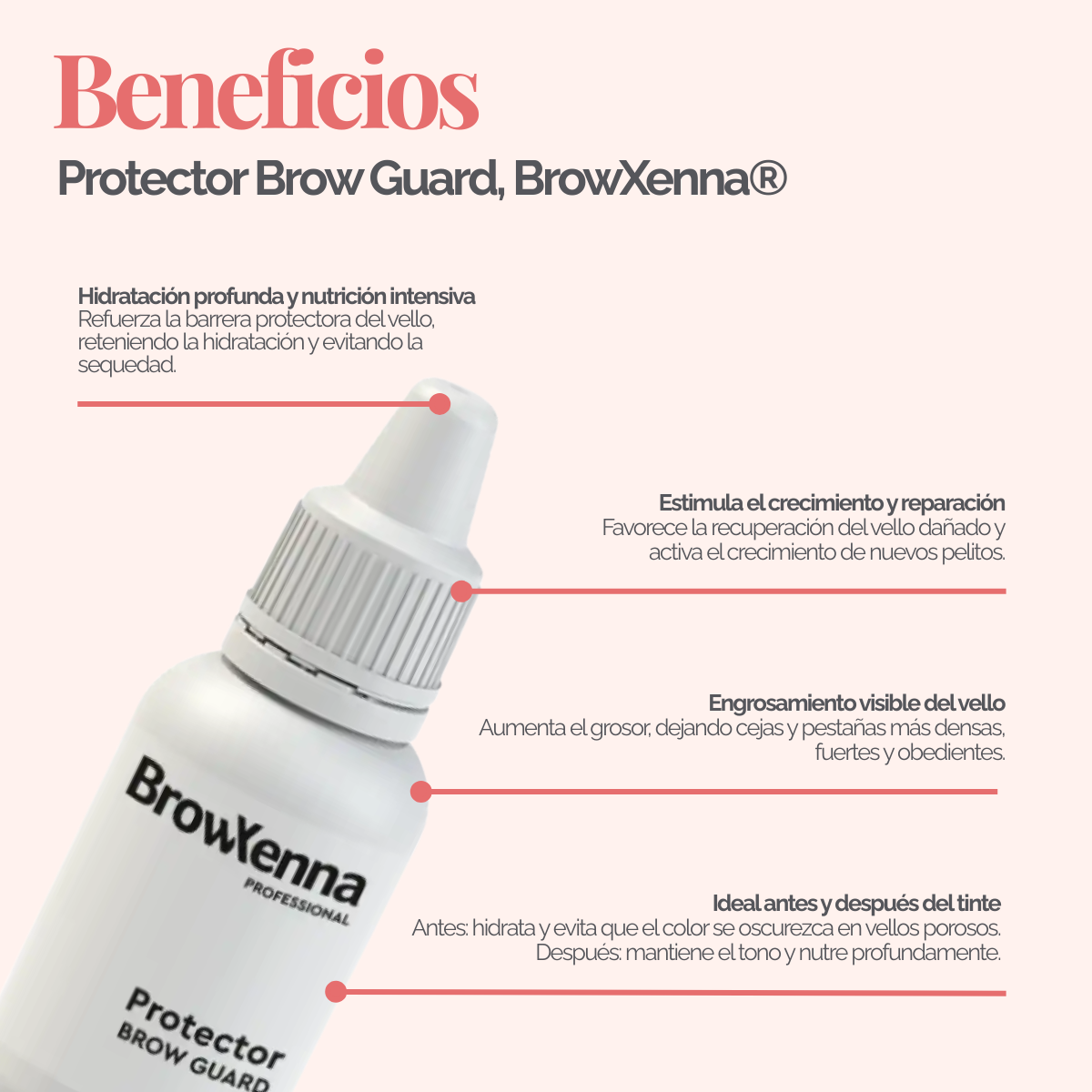 Fix‑X Lami Powder Glue BrowXenna® 3 ml, adhesivo en polvo profesional para laminación de cejas y pestañas, fijación uniforme sin pegamento, hasta 150 usos, ideal para técnicos de belleza.