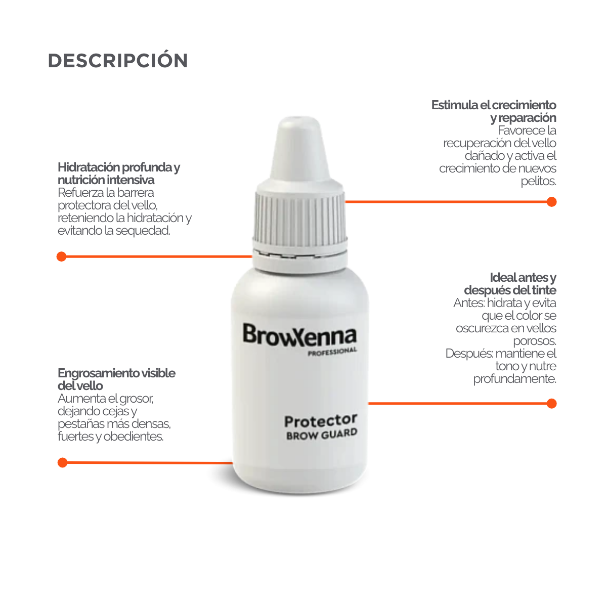Fix‑X Lami Powder Glue BrowXenna® 3 ml, adhesivo en polvo profesional para laminación de cejas y pestañas, fijación uniforme sin pegamento, hasta 150 usos, ideal para técnicos de belleza.