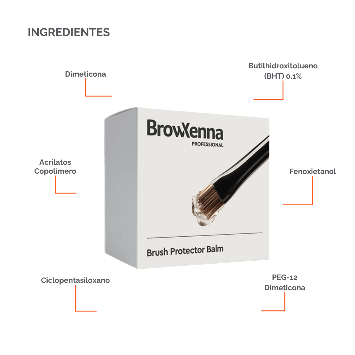 Bálsamo sólido profesional - BrowXennamx