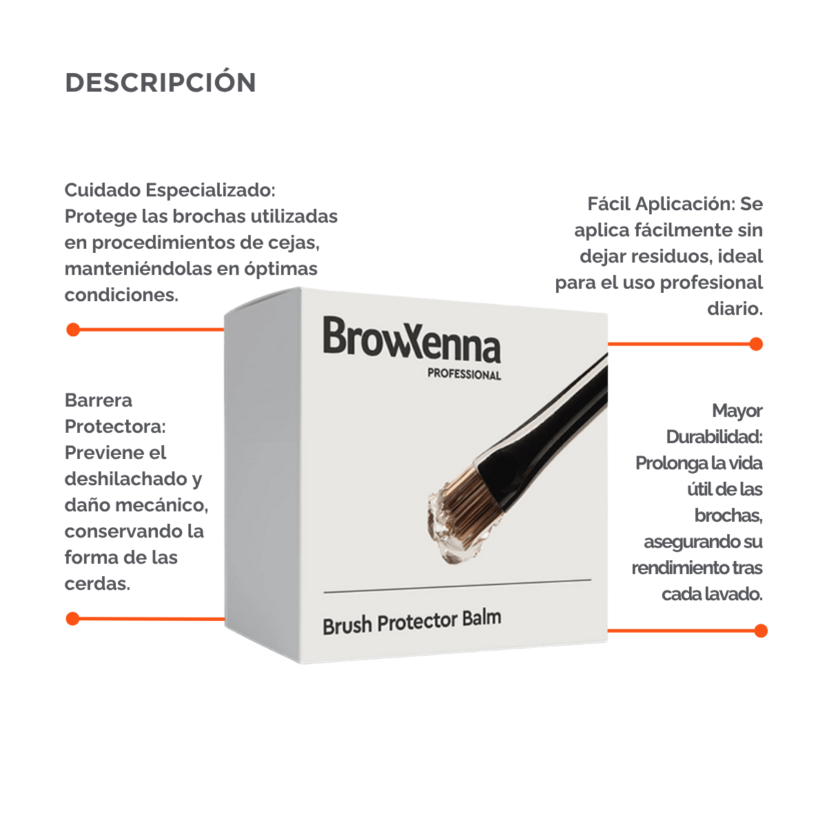 Bálsamo sólido profesional - BrowXennamx